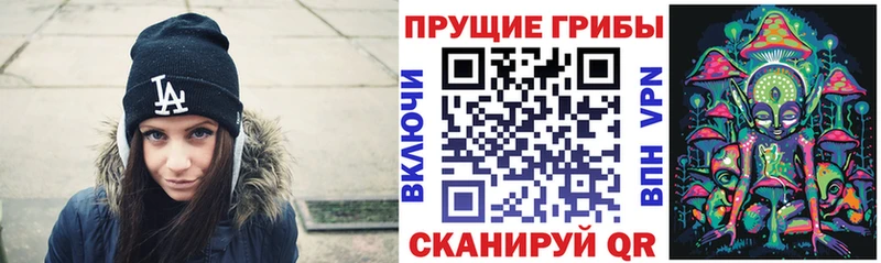 Псилоцибиновые грибы MAGIC MUSHROOMS Хадыженск